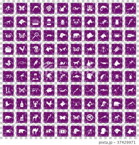 100 animals icons set grunge purple 37429971