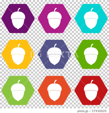 Acorn icon set color hexahedron 37430020