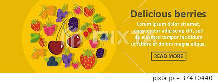 Delicious berries banner horizontal concept 37430440