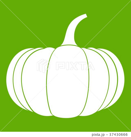 Ripe pumpkin icon green 37430666