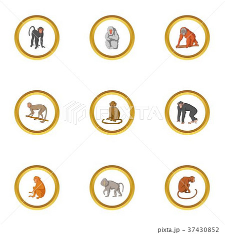 Monkey icons set, cartoon style Monkey icons set, cartoon style 37430852
