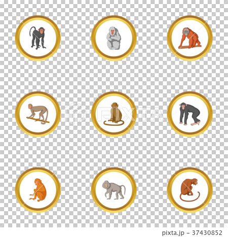 Monkey icons set, cartoon style Monkey icons set, cartoon style 37430852