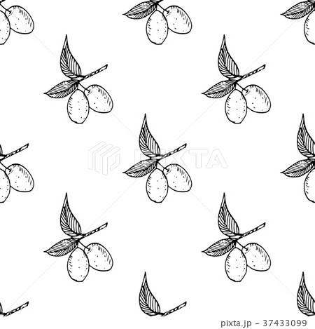 Olive branch seamless pattern. Natural background 37433099