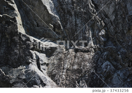 荒い岩肌 37433256