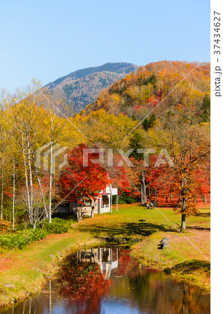 十勝 福原山荘の紅葉 37434627
