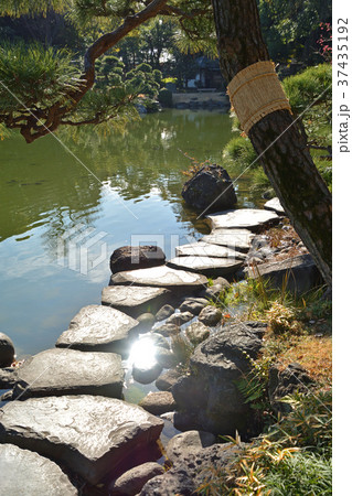 清澄庭園：磯渡り 37435192