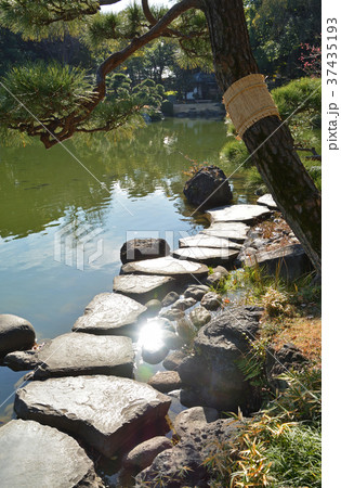 清澄庭園：磯渡り 37435193