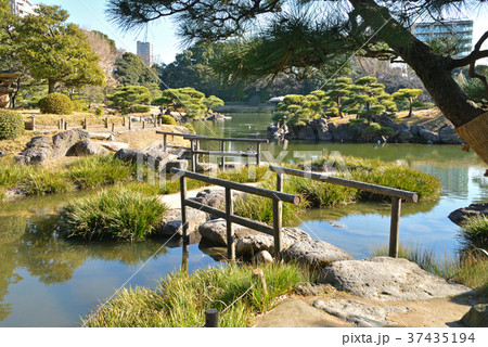 清澄庭園:磯渡り 清澄庭園:磯渡り 37435194
