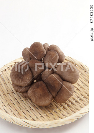 ひらたけ ひらたけ 37435259