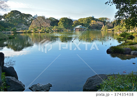 清澄庭園：大泉水 37435438