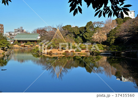 清澄庭園:大泉水 清澄庭園:大泉水 37435560
