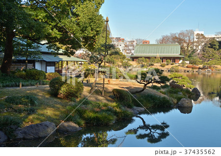 清澄庭園：大泉水 37435562