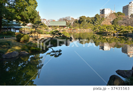 清澄庭園:大泉水 清澄庭園:大泉水 37435563
