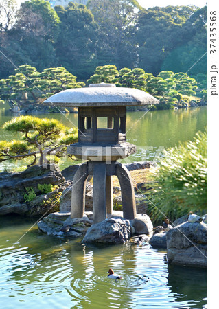 清澄庭園：大泉水 37435568