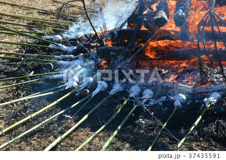 どんど焼き どんど焼き 37435591