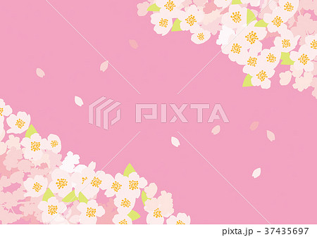 桜空三 ピンクのイラスト素材