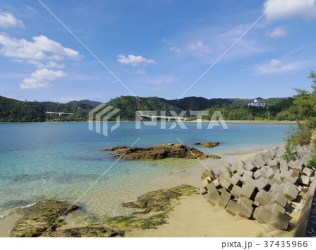 沖縄県名護市大浦湾 沖縄県名護市大浦湾 37435966