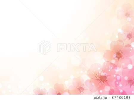 桜の花背景 37436193