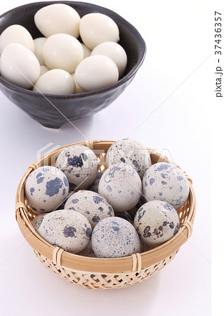 うずらの卵 37436357