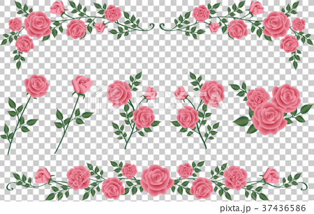 ピンク色のバラ 飾り線とイラストのイラスト素材