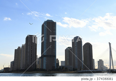 日本の東京都市景観「中央大橋やタワーマンション群を望む」 37436681