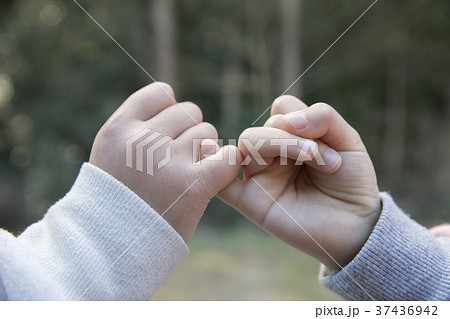 指切りをする子供同士の手元の写真素材