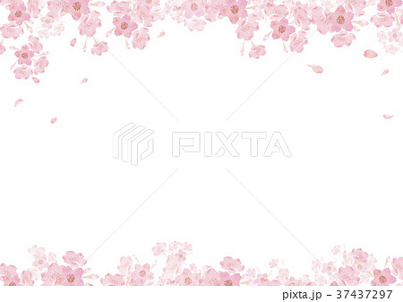 春 桜 背景 水彩 イラストのイラスト素材