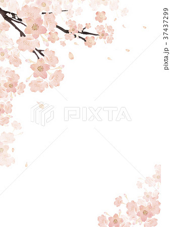 春 桜 背景 無料 イラスト