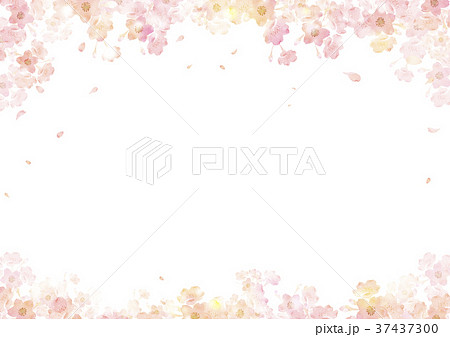 春 桜 背景 水彩 イラストのイラスト素材