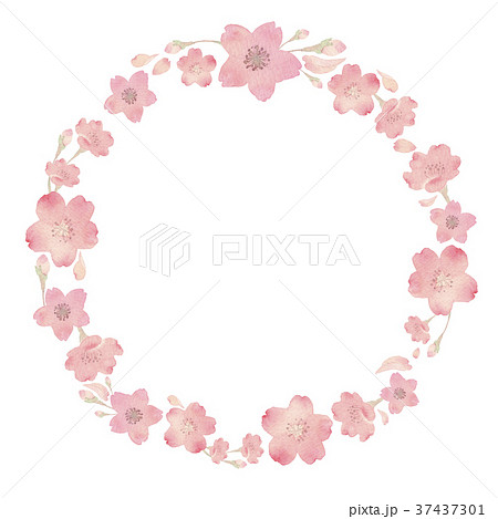 春 桜 フレーム枠 水彩 イラストのイラスト素材