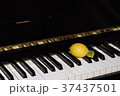 ピアノとレモン 37437501