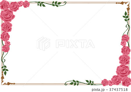ピンク色バラのフレーム 横のイラスト素材 37437518 Pixta