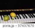 ピアノとレモン 37437670