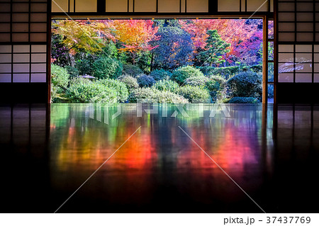 京都安楽寺の紅葉の写真素材