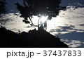 太陽とシルエット 37437833
