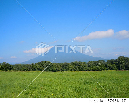 夏の羊蹄山 37438147