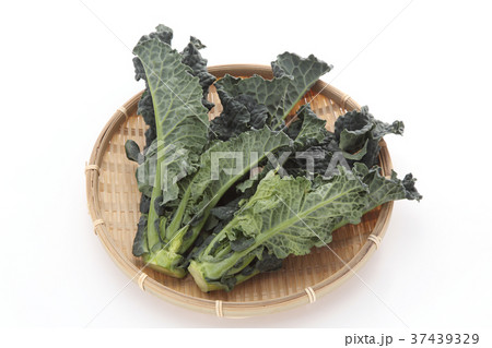 アレッタ 37439329