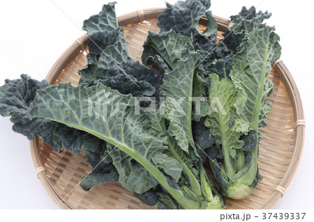 アレッタ アレッタ 37439337