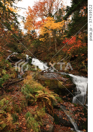 白金不動の滝 37439522