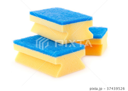 Sponges 37439526