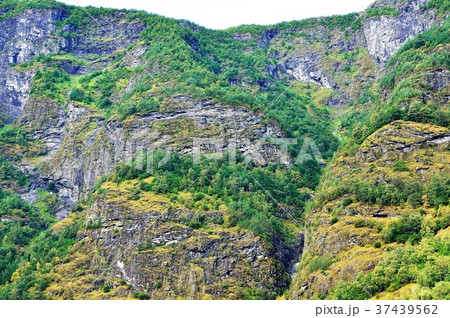 ノルウェー フロム駅目の前のフィヨルド ノルウェー フロム駅目の前のフィヨルド 37439562
