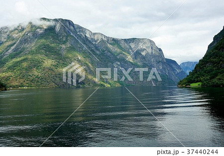 フィヨルド-8 37440244