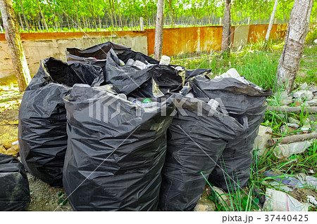 garbage bag on street 37440425