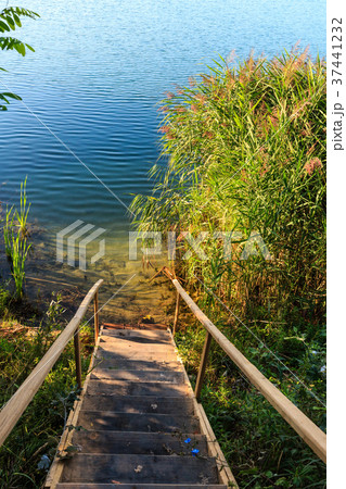 Summer lake calm beach with wood steeps to water Summer lake calm beach with wood steeps to water 37441232