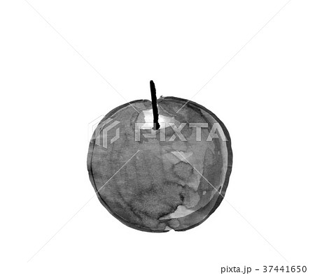 りんご 水墨画 のイラスト素材