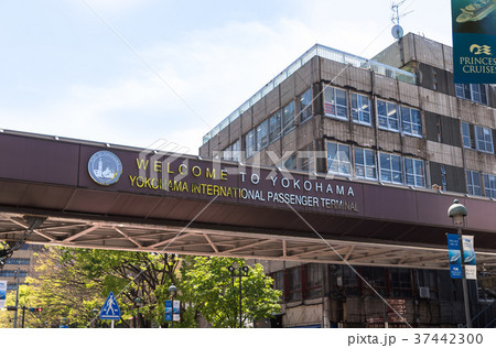 横浜ベイエリア　国際客船ターミナルのゲート 37442300