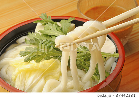 冷やしうどん　 37442331