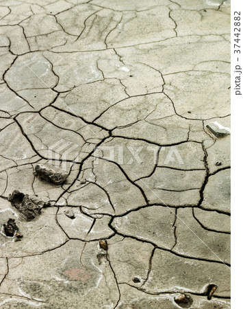 乾いた大地のイメージ 37442882