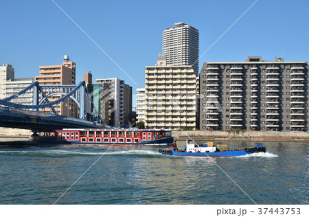 下町散歩:清洲橋 国重要文化財(建造物) 下町散歩:清洲橋 国重要文化財(建造物) 37443753