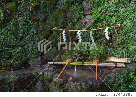 貴船神社 御神水 37443886